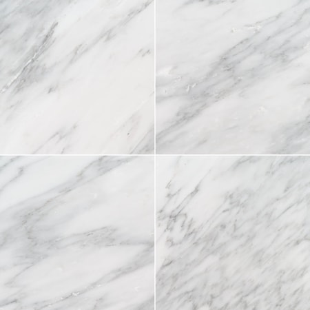 Msi Arabescato Carrara SAMPLE Honed Marble Floor And Wall Tile ZOR-NS-0032-SAM